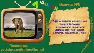 7 фактов #8 -Всё обо всем! И обо всех!