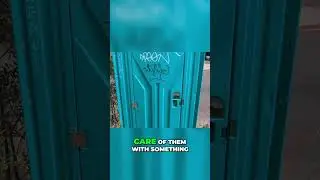 What Can a Porta Potty Teach Us About Project Management?