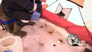 🌥️ My Best in Tent Fishing This Winter 🌬️