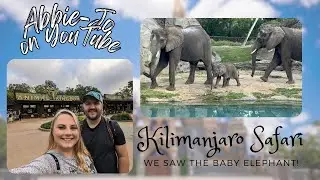 Animal Kingdom Vlog - Kilimanjaro Safari :Disney World Florida Vlogs 2024