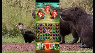 МИД vs Hungarian Doom Bears