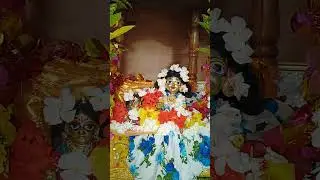 jay gopal sonar jay #shortsvideo #jhulanyatra #laddgopal