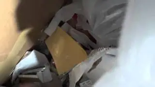 GAMESTOP DUMPSTER DIVE EPISODE 6-MAKING FRIENDS