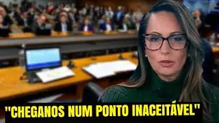ANA PAULA HENKEL DEPÕE NO SENADO