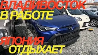 НОВЫЙ ПРИВОЗ АВТОМОБИЛЕЙ ПОД ЗАКАЗ ИЗ ЯПОНИИ BMW  / AUDI / HONDA / TOYOTA / SUZUKI