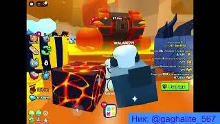 КОНКУРС НА ХУГА В PET SIMULATOR 99!