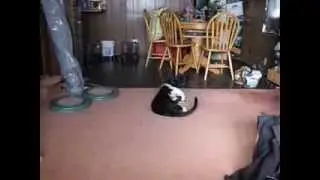 Lucky vs Cataclysm