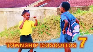 TOWNSHIP MOSQUITOS 7