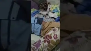 wik wik di depan anak? 😱 #masukberanda #video #vídeoviral #lucu #fyp #fypシ #fypviral #trending