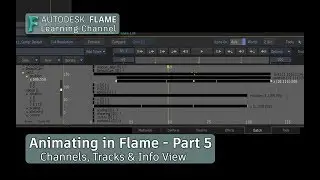 Animating in Flame - P5 - Channels, Tracks & Info View - Flame 2020.1