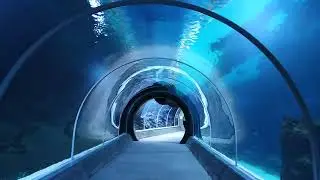 Orientarium w Łodzi | Podwodny tunel