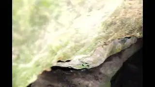 Cave Creek Cave, part 3, 6k