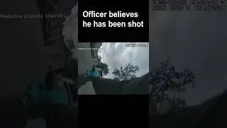 Cop Shoots At Acorn 