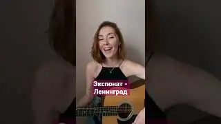 Ленинград - Экспонат #гитара #cover #кавер #guitar