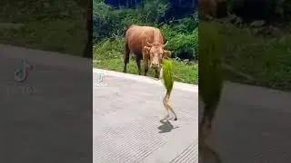 😂😂😂