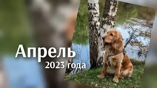 Апрель 2023 года.