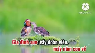 Nỗi lòng xa xứ - KARAOKE ( Tone nữ ) karaoke thái bình #karaoke #karaokenoilongxaxu #karaokethaibinh