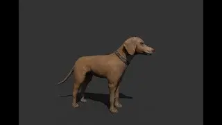 Sculpting & Texturing - Dog Zbrush- 3ds max tutorial part - 2