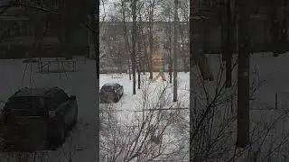 22 лютого 2024 р.