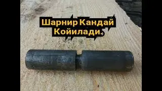 SHARNIR QOYISH OSHIG MOSHIG