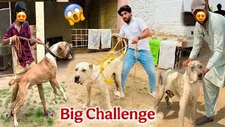 Hammad Pet House Or Talha Ghouri K Sath big Match  Fix 😱 Challenge Match