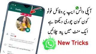 How To Check Who visited Or viewed your whatsapp Profile Picture Daily 2021