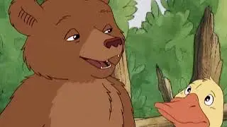 O pequeno urso - A volta do papai urso