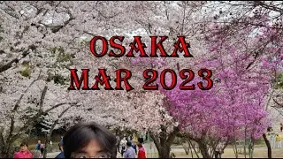 so i went to japan... (Osaka, Japan, March 2023)