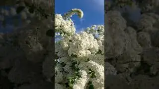 Ах , природа !