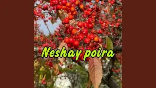 Neshay Poira