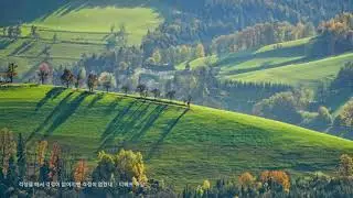 [ 2h Repeat ] 바흐 (Bach) _ 양들은 한가로이 풀을 뜯고 (Sheep May Safely Graze / BWV 208)
