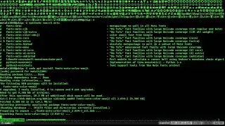 Color Emojis on Linux Test Run