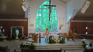 Daily Mass