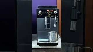 Декальцинация Melitta Avanza