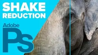 How to Reduce Blur Using Shake Reduction in Photoshop