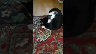 Семушка маленький