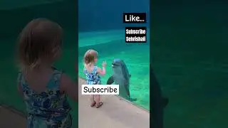 Baby Dolphin fish talking 😱