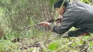 Hunter nature #shorts