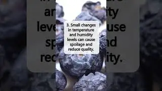 What is the secret to keeping blueberries fresh? #blueberry #freshfruits  #sensor  #cargoship