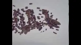 Wooden dolphin vfx