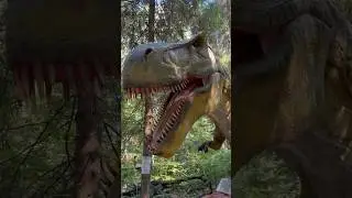 🦕 Теранозавр - Tyrannosaur 
