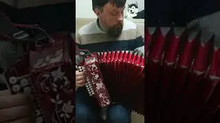 Гармонист играет🔥Гармонь звучит!!! Павел Бузин, от души!