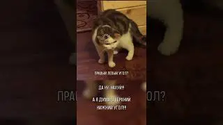Необычный угол / Rimworld / Мод «Multiplayer»