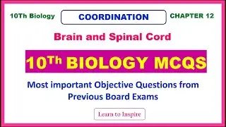 Brain and Spinal Cord (CNS) MCQS.