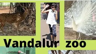 Vandalur zoo Vlog