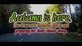 Autumn is here.