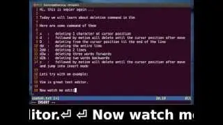 Vim Tutorial - How To Delete a Text