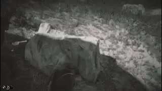 Red Dead Redemption 2_20220916080250