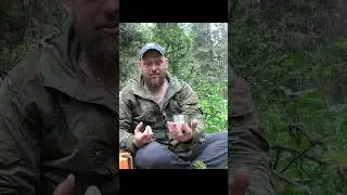 ПРИКОЛЫ В ТАЙГЕ