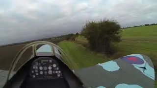 Spitfire is BACK! ...Get in that tree...